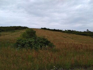 Maison de vacances Esbjerg  32