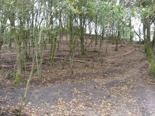 Casa per le vacanze Esbjerg  33