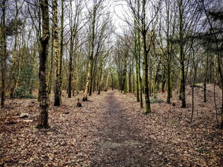 Casa per le vacanze Esbjerg  34
