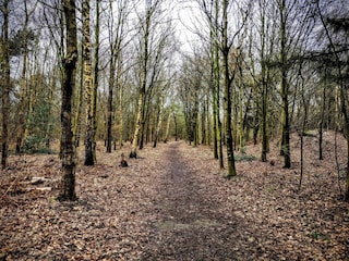 Ferienhaus Esbjerg  34