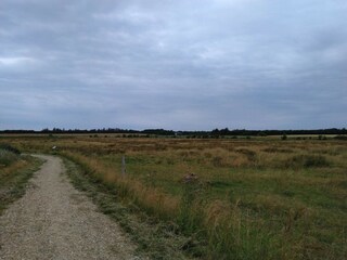 Vakantiehuis Esbjerg  16