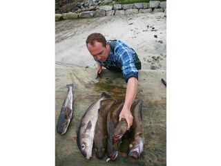 Maison de vacances Stadlandet  18