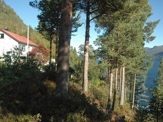 Vakantiehuis Eidsvåg  30