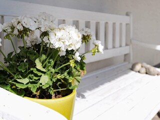 Vakantiehuis Asperup Buitenaudio-opname 6