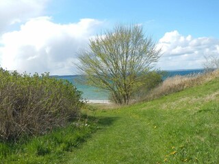 Maison de vacances Asperup  31