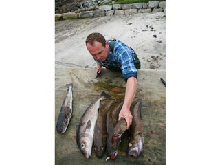 Casa de vacaciones Stadlandet  22