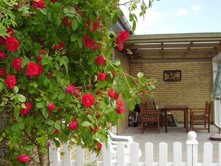 Holiday house Dannemare Outdoor Recording 3