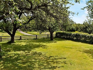 Holiday house Gamleby Outdoor Recording 5