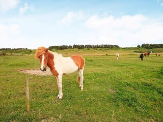 Ferienhaus Nørlev Strand  27