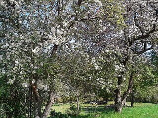 Casa per le vacanze Lönashult Registrazione all'aperto 4