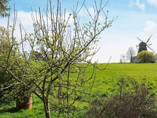 Vakantiehuis Bogø  17