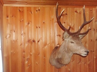 Ferienhaus Måndalen  19