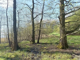 Ferienhaus Snedsted  19