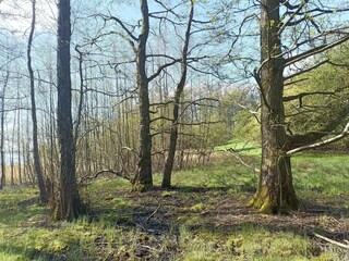 Ferienhaus Snedsted  23