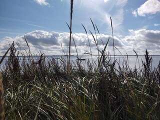 Maison de vacances Snedsted  29