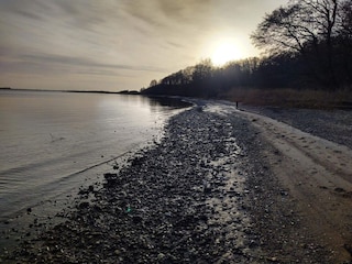 Maison de vacances Snedsted  19