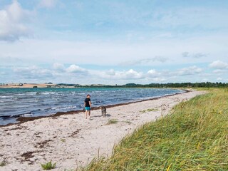 Casa per le vacanze Knebel  3