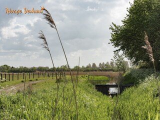 Casa per le vacanze Nieuwvliet Ambiente 16