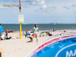 Vakantiehuis Nieuwvliet Omgeving 19