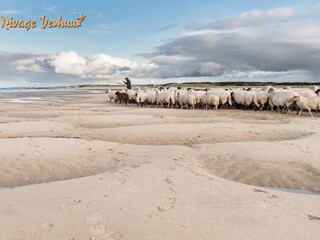 schäfer am strand