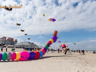 vliegerfeest cadzand