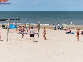 Maison de vacances Nieuwvliet Environnement 12