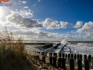 Casa per le vacanze Nieuwvliet Ambiente 31
