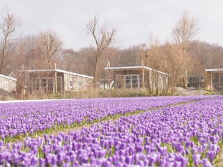 Bungalow Sint Maartensvlotbrug Document 29