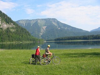 Casa per le vacanze Ebensee Ambiente 19
