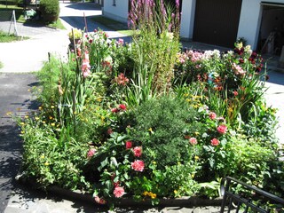 Vakantiehuis Ebensee Omgeving 5