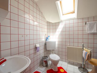 Casa per le vacanze Ebensee Caratteristiche 14