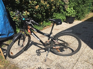 Ferienhaus Renesse Außenaufnahme 12