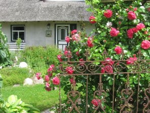 Ferienwohnung Zum Reetdachhaus am Haff " Möwennest" - Am Salzhaff - image1