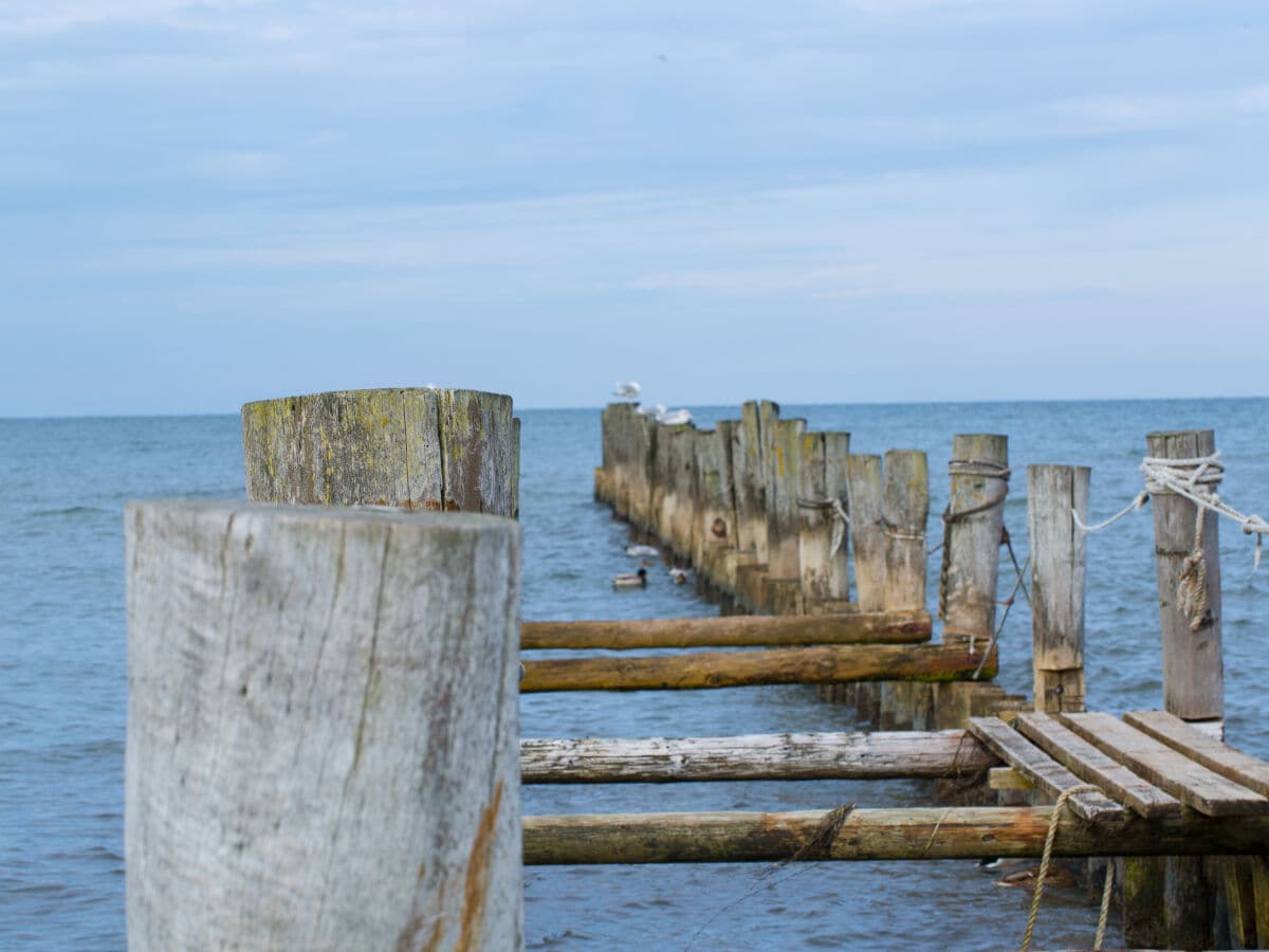 Alter Steg - Zingst