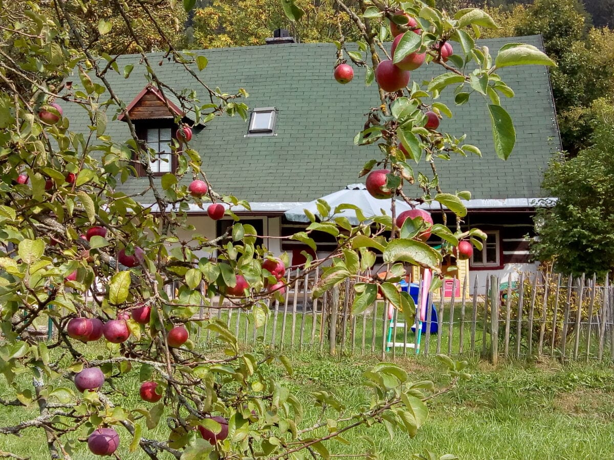 Holiday house Jivka Outdoor Recording 1