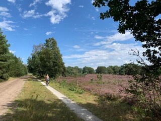 Casa per le vacanze Tweede Exloërmond Ambiente 27
