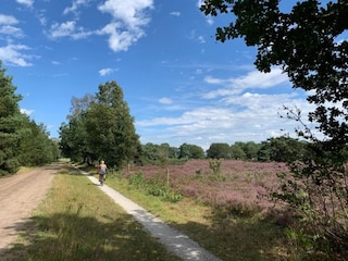 Maison de vacances Tweede Exloërmond Environnement 25