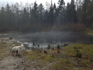 Casa per le vacanze Tweede Exloërmond Ambiente 22
