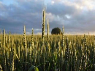 Vakantiehuis Tweede Exloërmond Omgeving 22