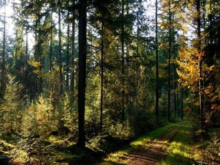 Casa per le vacanze Tweede Exloërmond Ambiente 21