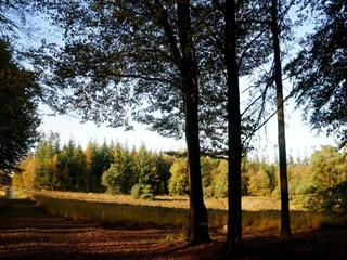 Maison de vacances Tweede Exloërmond Environnement 20