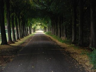 Vakantiehuis Tweede Exloërmond Omgeving 33