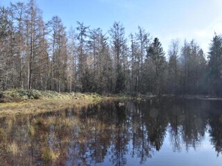 Casa de vacaciones Tweede Exloërmond Entorno 28