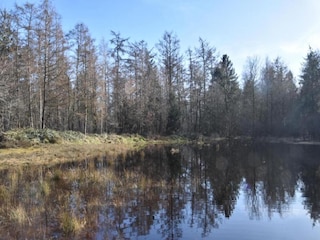 Ferienhaus Tweede Exloërmond Umgebung 33