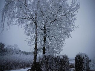 Casa per le vacanze Tweede Exloërmond Ambiente 21