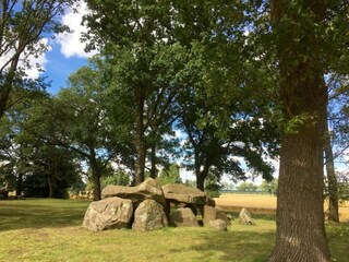 Vakantiehuis Tweede Exloërmond Omgeving 29