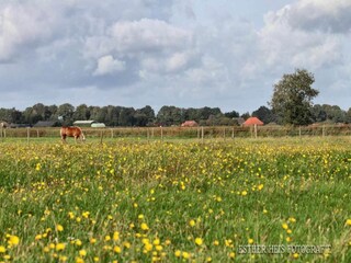 Ferienhaus Tweede Exloërmond Umgebung 31