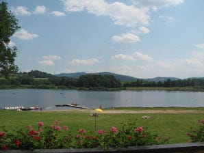 Appartamento per vacanze Casa Christa con balcone - Waldmünchen - image1