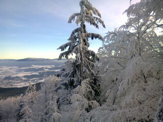 Vakantieappartement Waldmünchen Omgeving 38