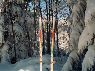 Apartamento de vacaciones Waldmünchen Entorno 39